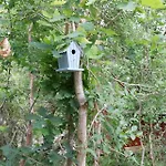 11199-nykobing-sj-vibo-skovvej-14 * Nykøbing Sjælland