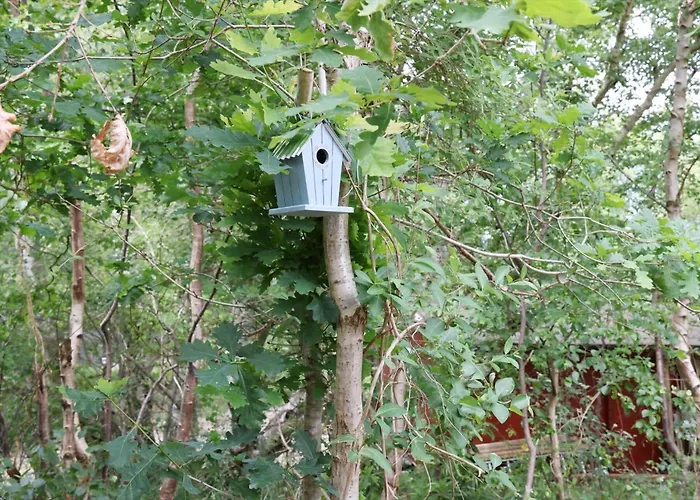 11199-nykobing-sj-vibo-skovvej-14 * Nykøbing Sjælland