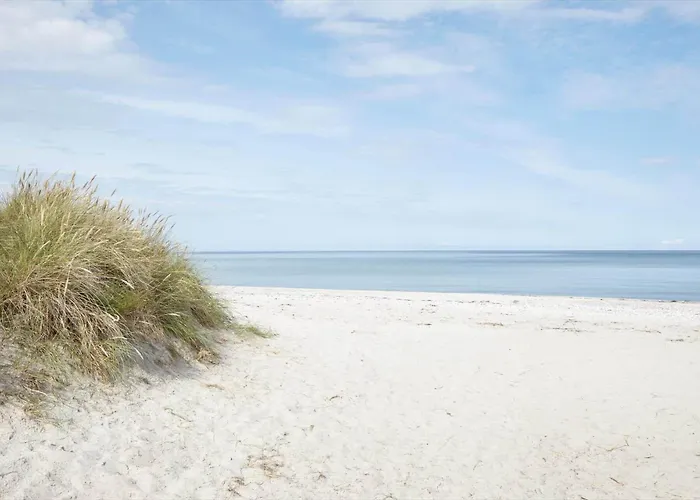 11199-nykobing-sj-vibo-skovvej-14 Nykøbing Sjælland